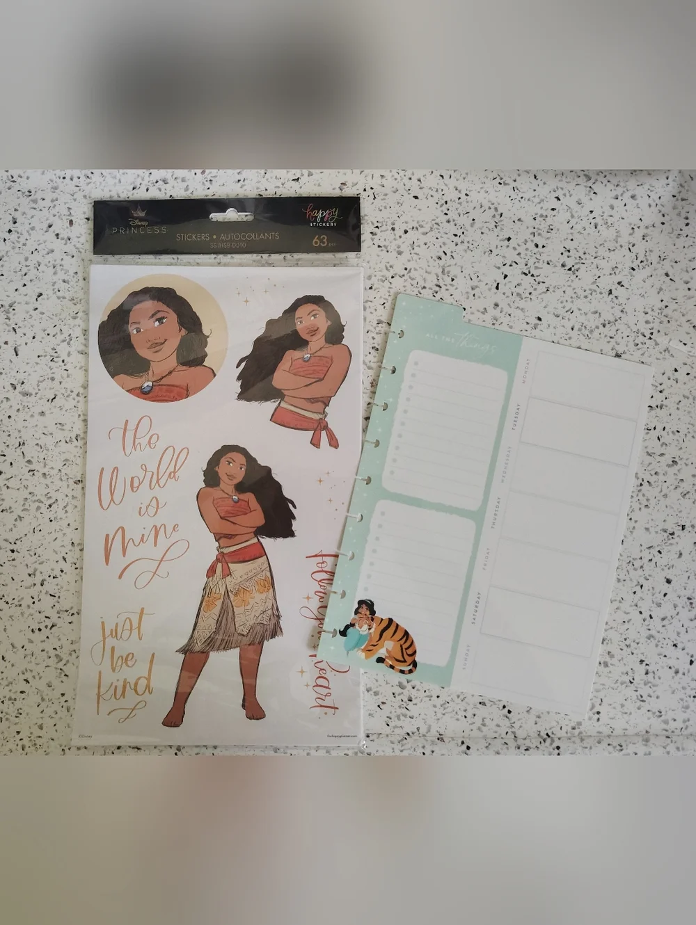 Happy Planner x Disney Princess Stickers & Dry Erase Board Planner Set 2pcs